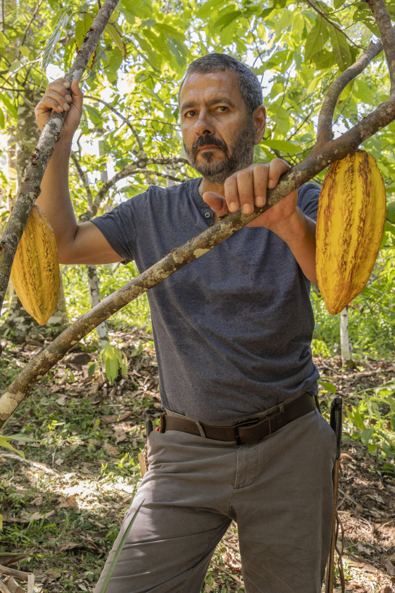 José Inocêncio (Marcos Palmeira). Foto: Globo/Fábio Rocha