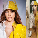 Pets de Anitta e do BBB 26 viralizam e acendem alerta veterinário