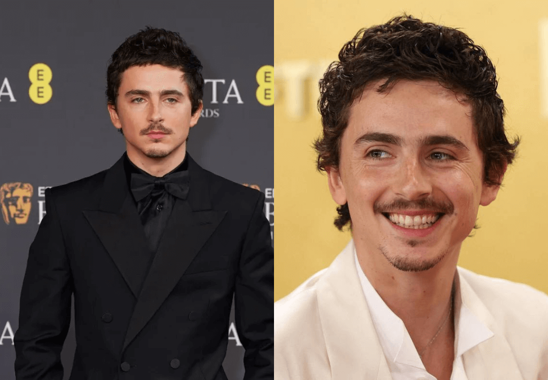 Timothée Chalamet gera revolta em companhias de ópera e balé