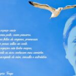 Tributo a Myriam Fraga reúne 22 artistas em mostra inédita